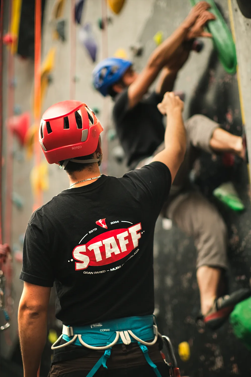 Curso intermedio de técnica